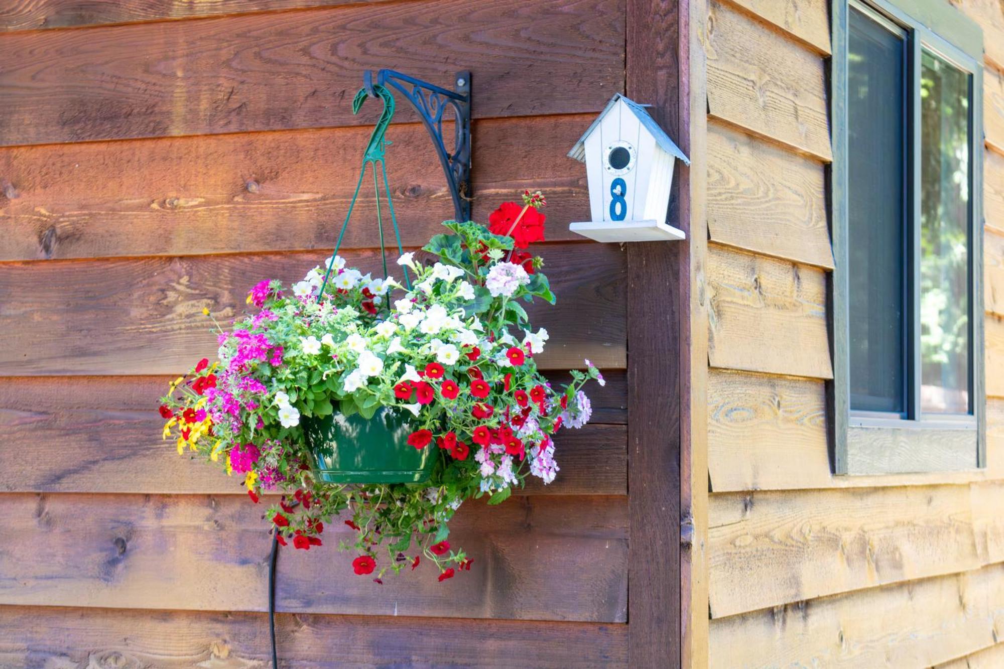 Riverbend Cottage & Rv Resort Parksville Bagian luar foto