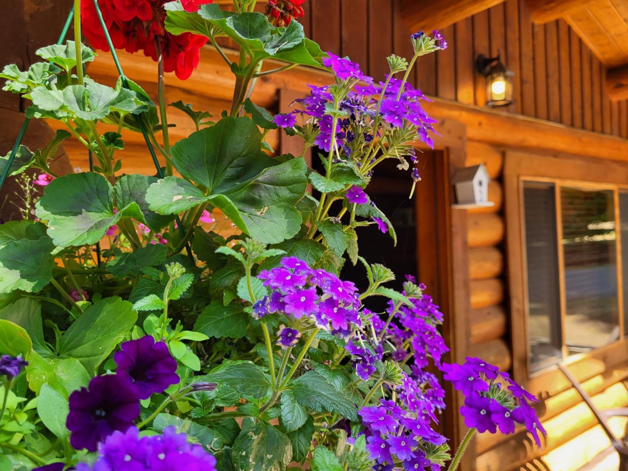 Riverbend Cottage & Rv Resort Parksville Bagian luar foto
